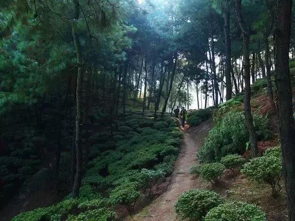 精选南岸嘿巴适农家乐，这个国庆有得耍，让你嗨到不想回家！