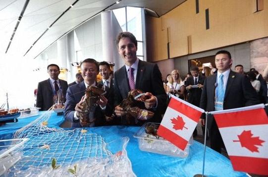 阿里在国际市场实力怎么样,阿里在世界上多厉害