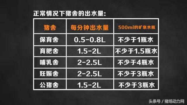 奎哥养猪26期,奎哥养猪73期