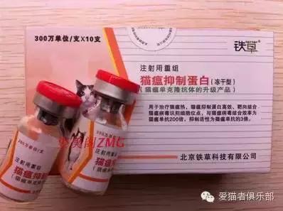 猫咪可以用的人类药品种类,猫咪应激反应常用药