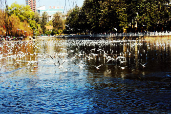 云南丽江香格里拉大理六日游,云南丽江大理香格里拉六日游