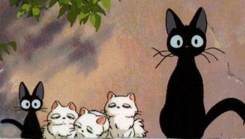 十部顶级喵星人动画片,猫咪动画片视频大全