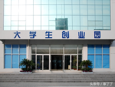 创业带来的失败,大学生创业失败真实案例