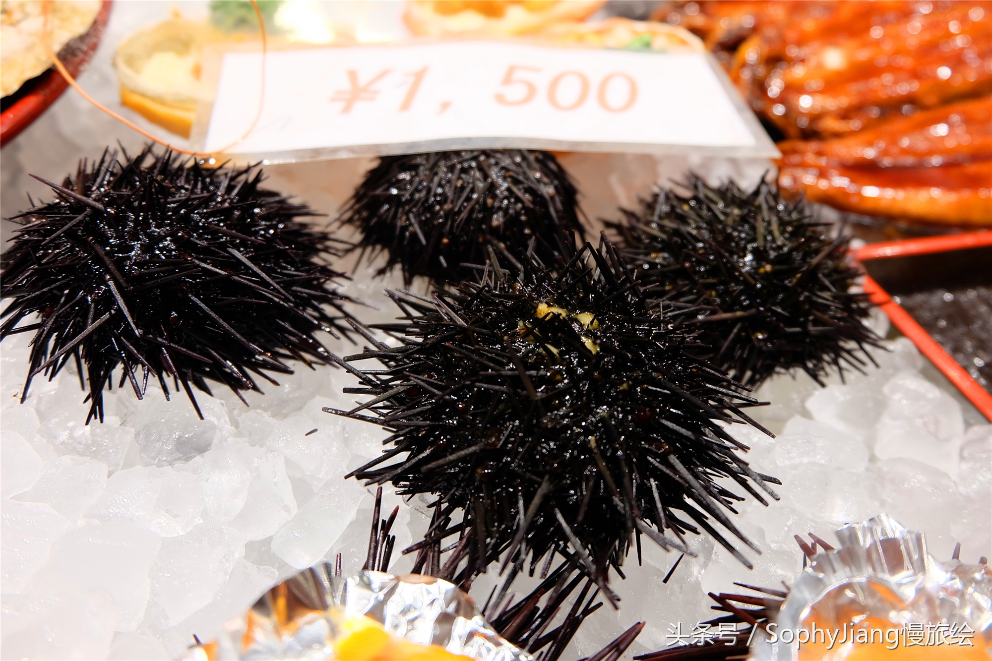 日本大黑门海鲜市场,日本大阪河豚