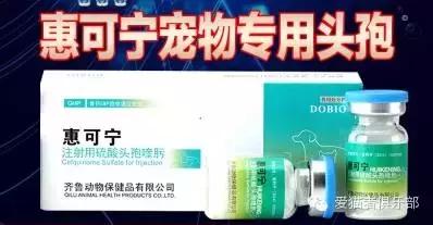 猫咪可以用的人类药品种类,猫咪应激反应常用药