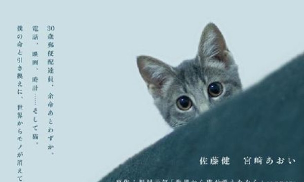 十部顶级喵星人动画片,猫咪动画片视频大全