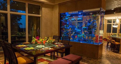 选鱼技巧银龙,四招教你选环保好板材