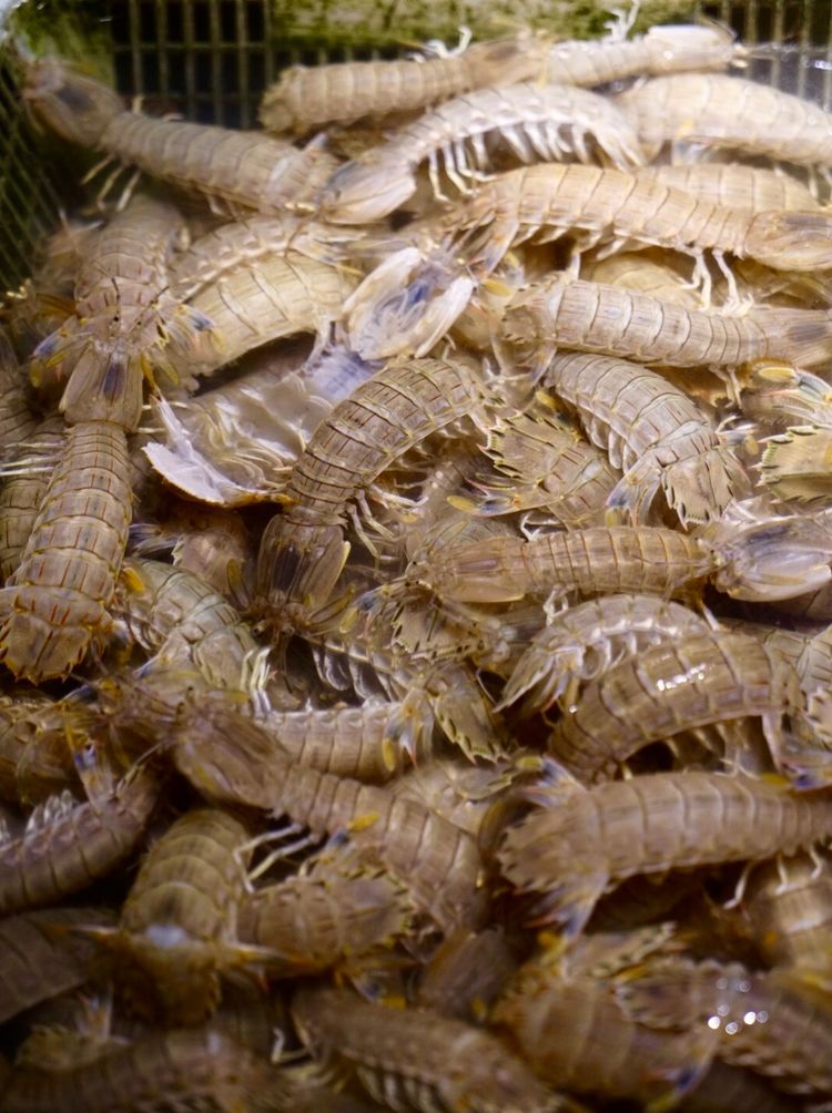 舟山沈家门海鲜东海,舟山沈家门海鲜大排档排名