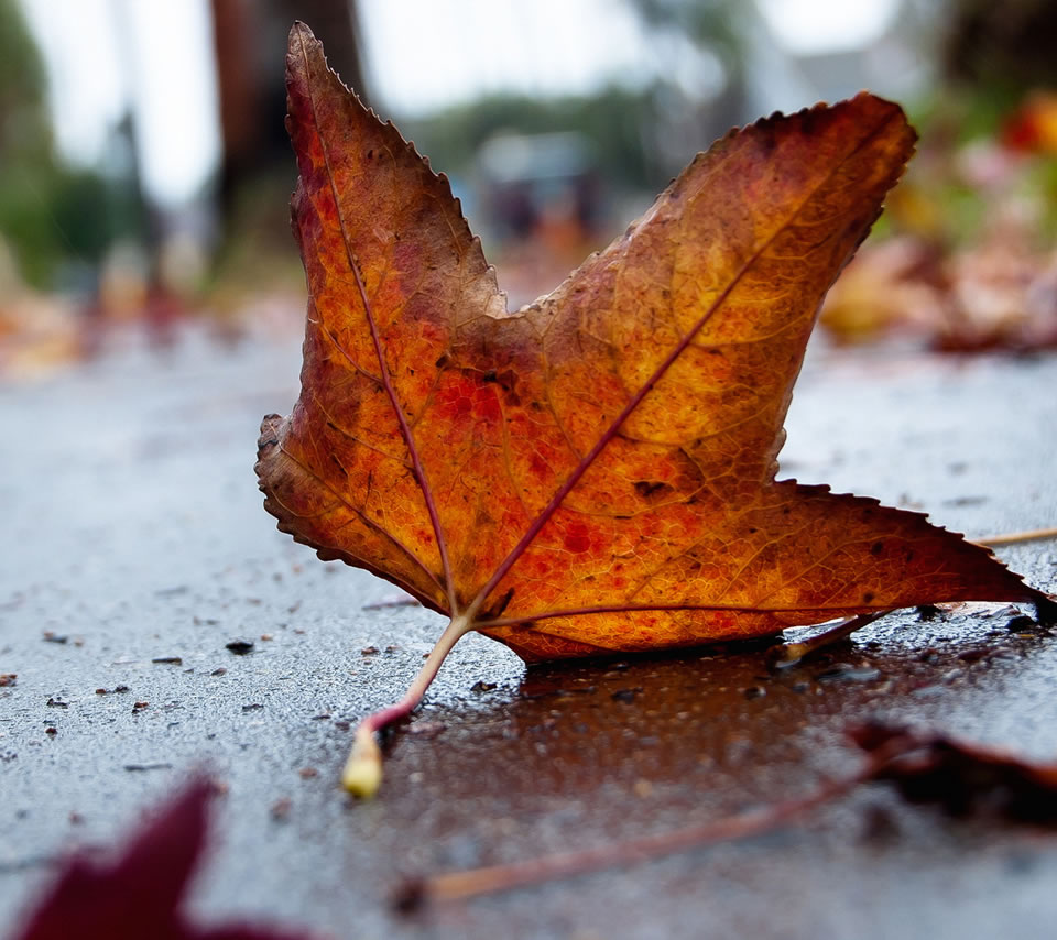 白癜风科普中医治疗白癜风的优势,白癜风治疗要先知道哪些知识