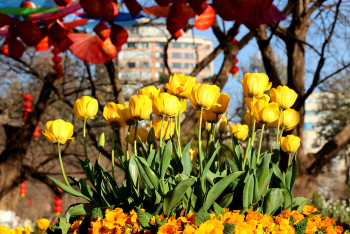 云南丽江香格里拉大理六日游,云南丽江大理香格里拉六日游