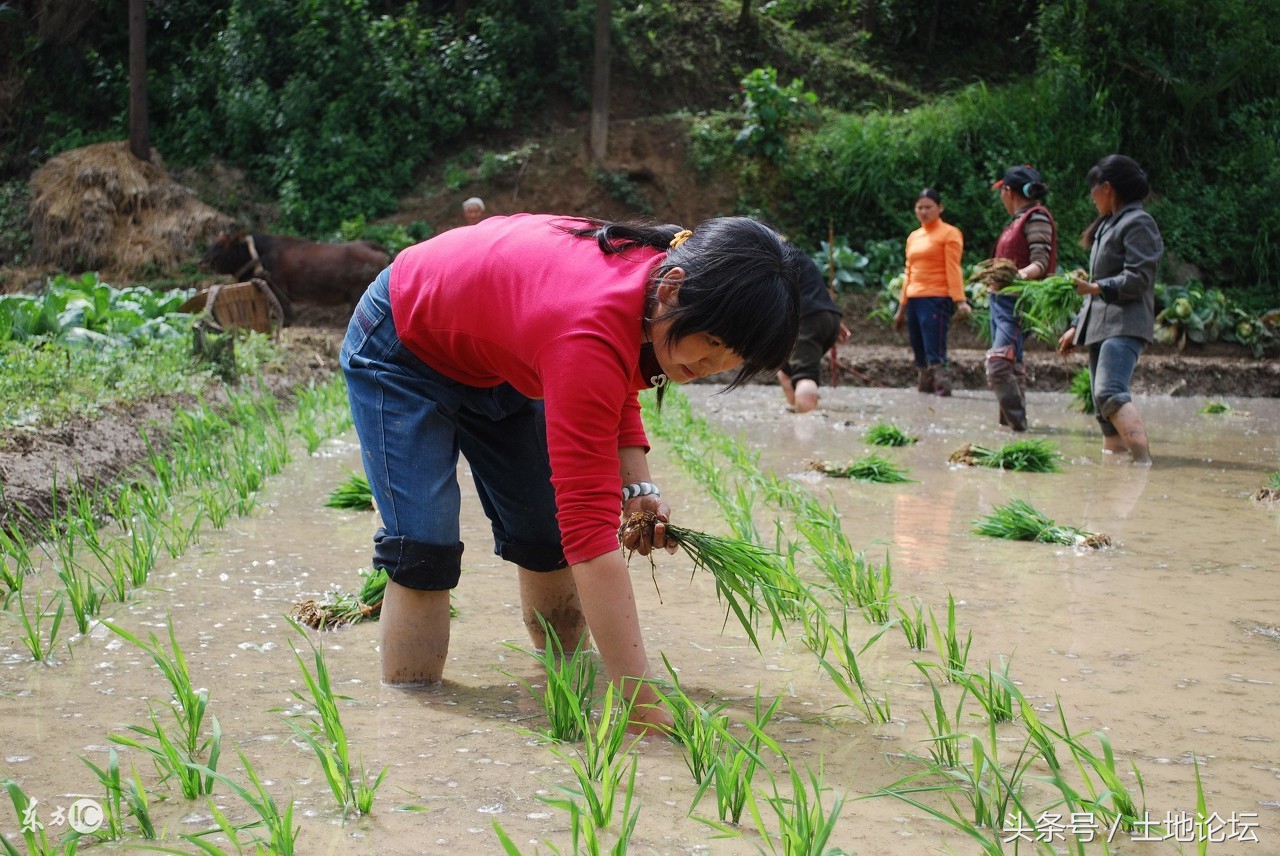 村里不给房产确权怎么办,村里不给分地如何起诉