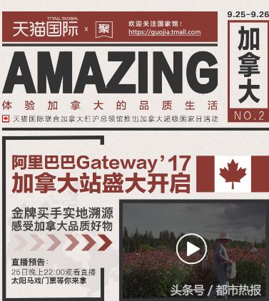 阿里巴巴峰会新闻,阿里巴巴峰会开幕式