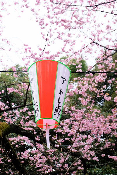 繁华的东京有多可归,繁华的东京不夜的城