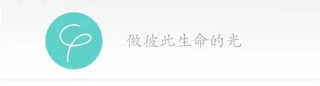 思来想去 这一年还是最爱你 | 年度大赏