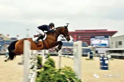 33秒赚111万！股市靠边站，疯狂的上海环球马术冠军赛来啦