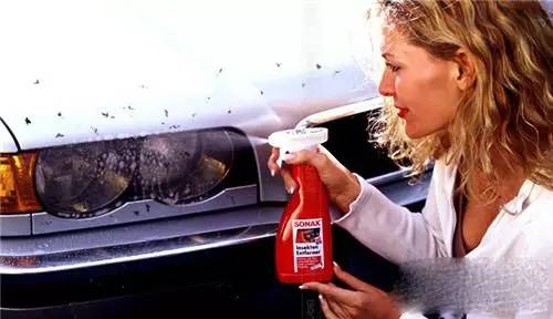 小鸟被恶鸟袭击,被鸟粪袭击怎么办