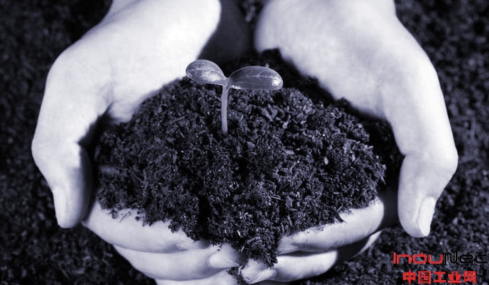 蛇鹤八步克星,蛇鹤八步12