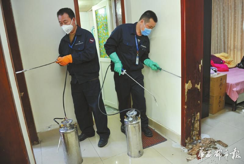 白蚁多久可以把门框蛀空,白蚁进家里了怎么办