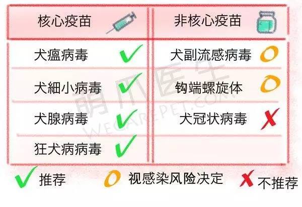 狗狗免疫针怎么打,狗狗疫苗该怎么打才合理