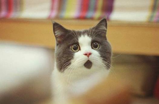 学了炒股就能赚钱吗,学了炒股理论知识还是亏钱