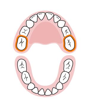 宝宝长牙顺序和换牙顺序一样吗,宝宝换牙有什么征兆