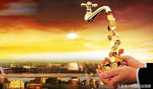 农业创业失败的5个原因,创业99%的人都失败了