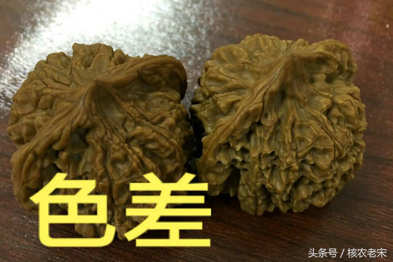 嘎子哥文玩核桃有色差怎么办,文玩核桃麒麟纹官帽有色差