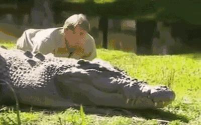 这些“不正经”的科学家，你们想笑死我，好继承我的蚂蚁花呗吗？