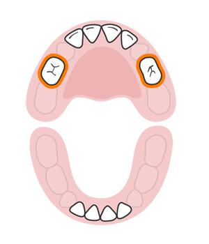 宝宝长牙顺序和换牙顺序一样吗,宝宝换牙有什么征兆