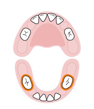 宝宝长牙顺序和换牙顺序一样吗,宝宝换牙有什么征兆