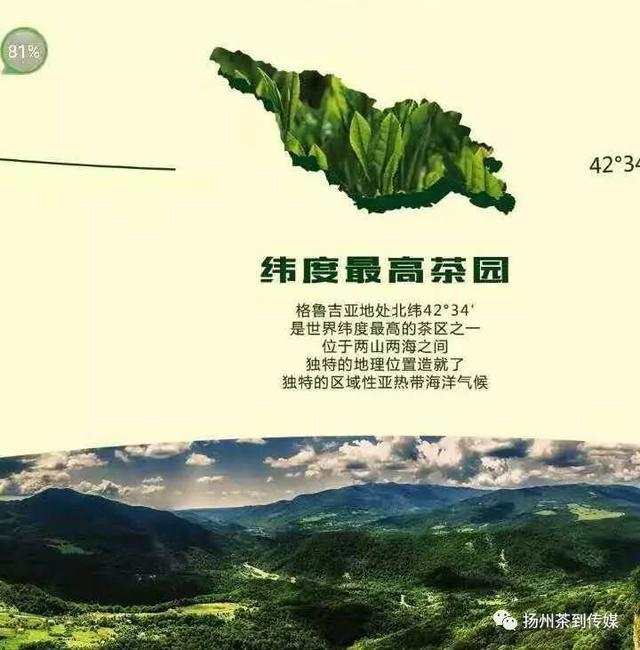 百年前的茶师在上帝的后花园种下茶籽，今日带着龙井香荣归故里