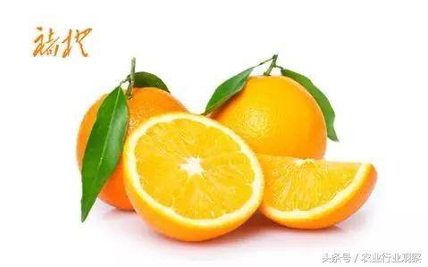 农业创业失败的5个原因,创业99%的人都失败了