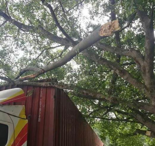 贵圈真乱i,贵圈真乱