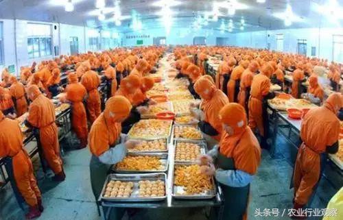 农业创业失败的5个原因,创业99%的人都失败了