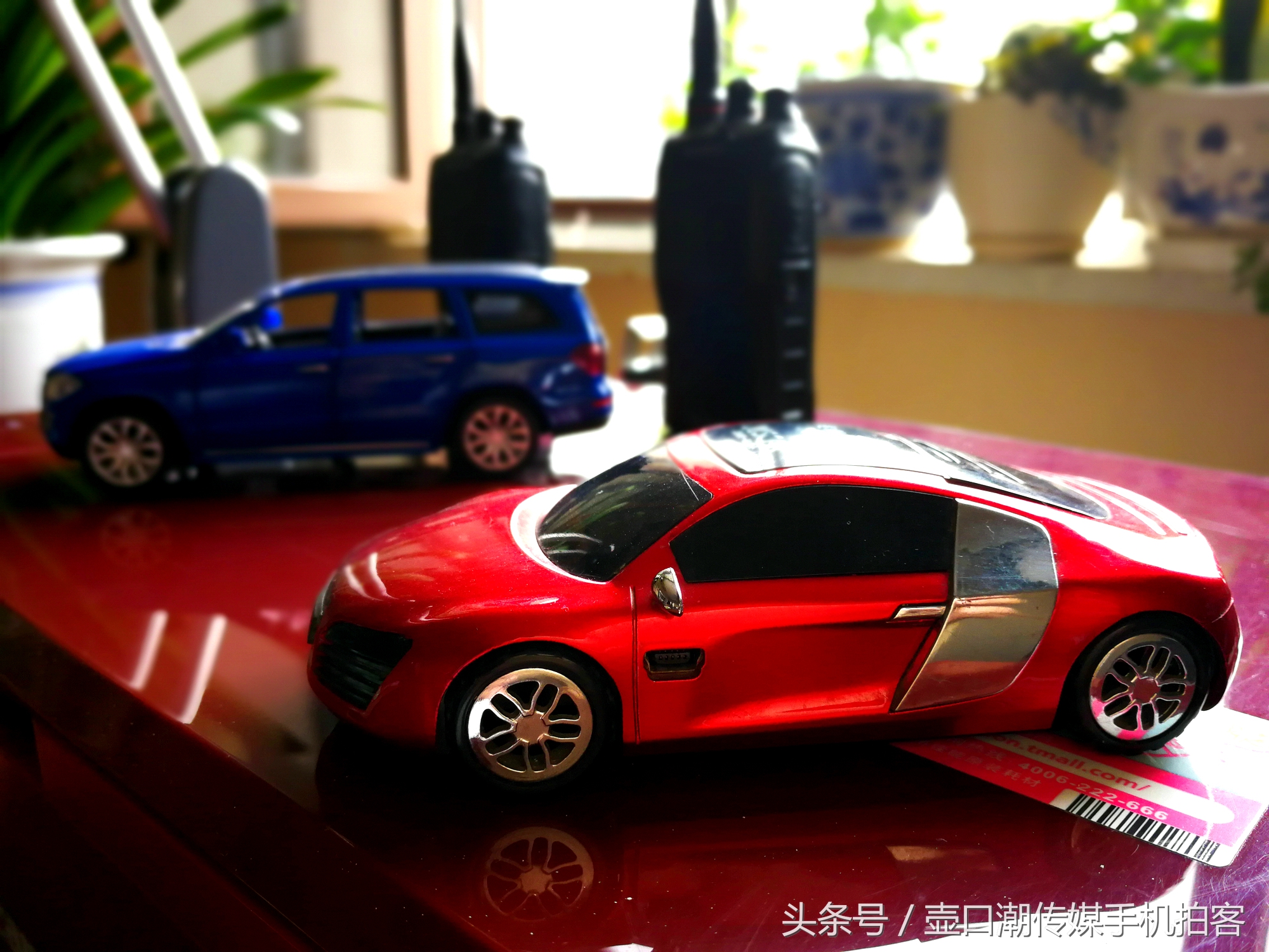 临汾：手机拍拍工作室的花~再好的装修也比不了和大自然和谐相处