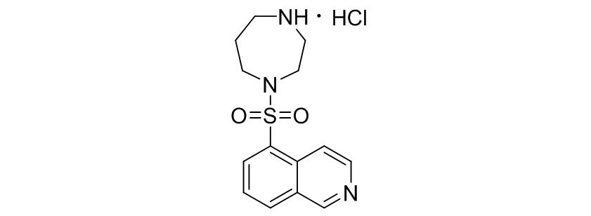 rho激酶,rho激酶抑制剂多少钱
