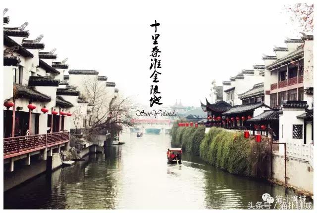 因为爱情，这几个人说出了留在或者离开聊城的原因！