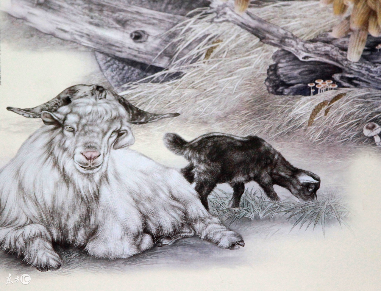 生肖羊农历10月运势,生肖羊202112月运势