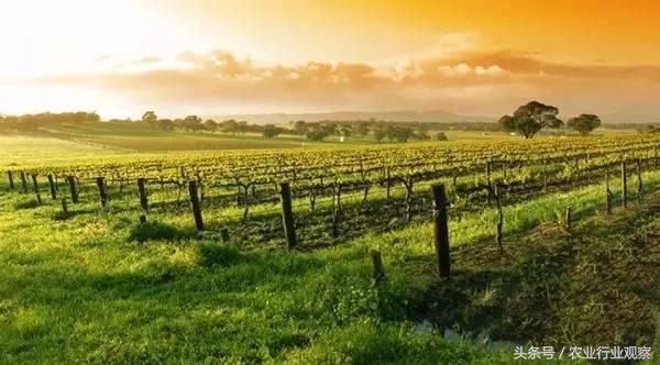 农业创业失败的5个原因,创业99%的人都失败了