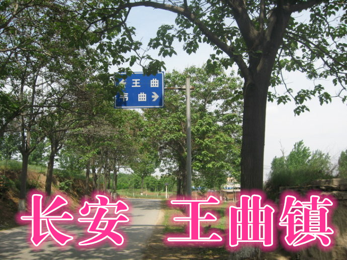 西安古村真实事件,贾里村张勇