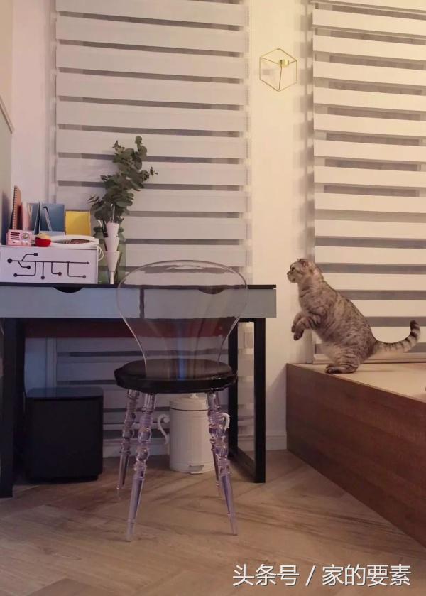 拒绝性冷淡，她把马卡龙色涂上了墙