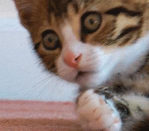 盘点2019火爆到炸街的8款包包,当下最流行的7款秋冬包包