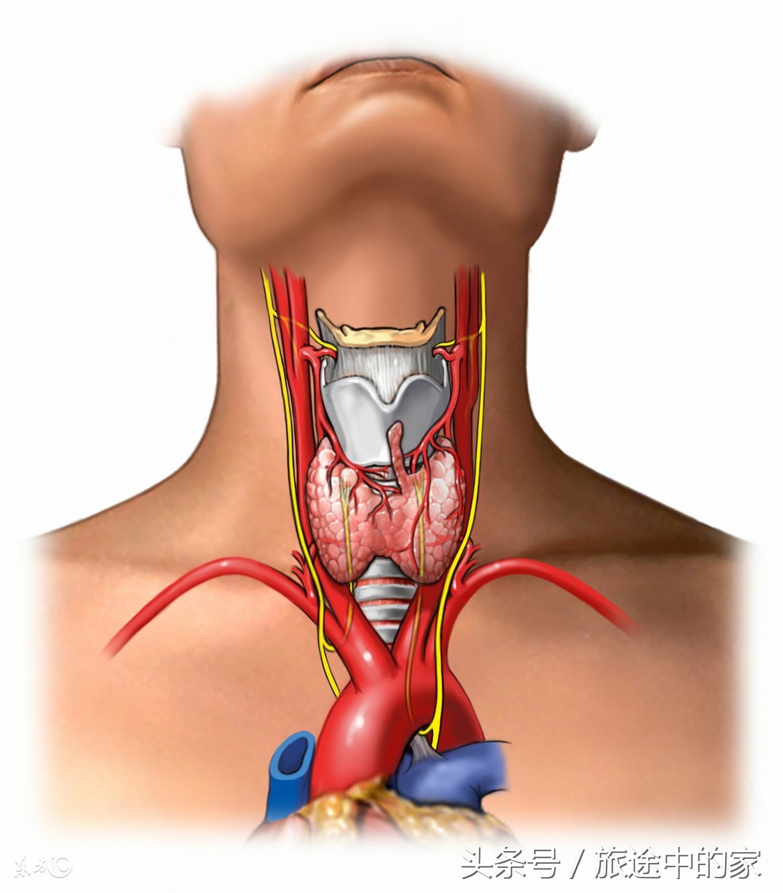 10种常见癌症早期症状知道能救命,这6种高发疾病要当心
