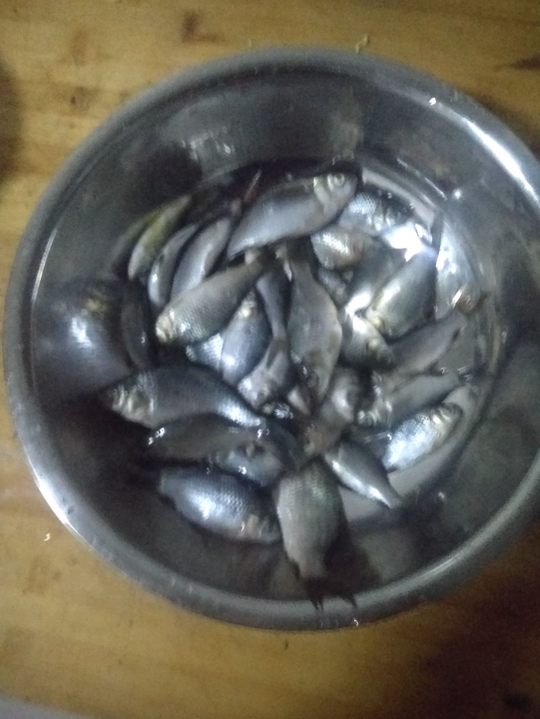 自己在家做猫粮怎么样,自制猫粮配方最好十款猫粮