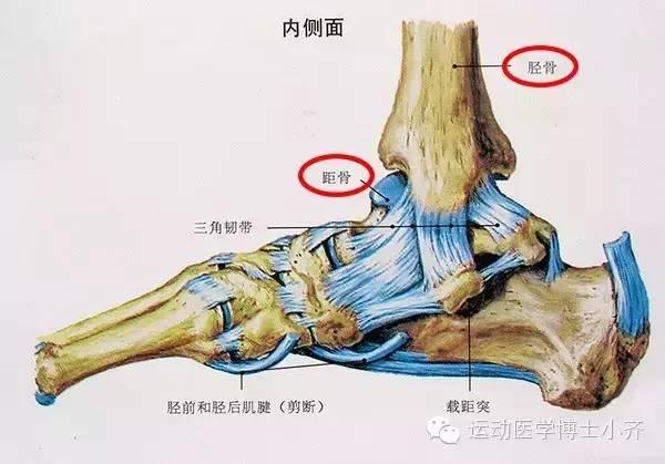 科比季后赛脚踝扭伤,科比髋关节受伤