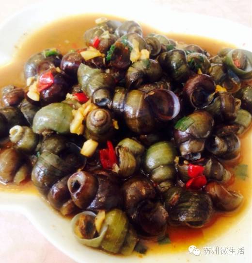 吃螺蛳的季节到了,吃螺蛳的好季节又来啦