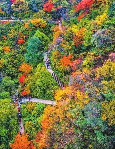 洛阳适合中学生好玩免费景点,洛阳各个景点的介绍
