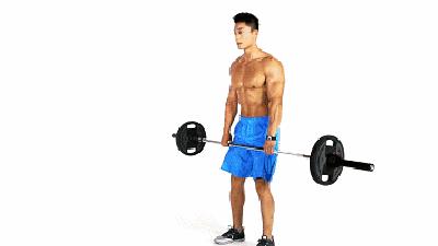 一周健身计划男生,健身房减脂训练计划一周表