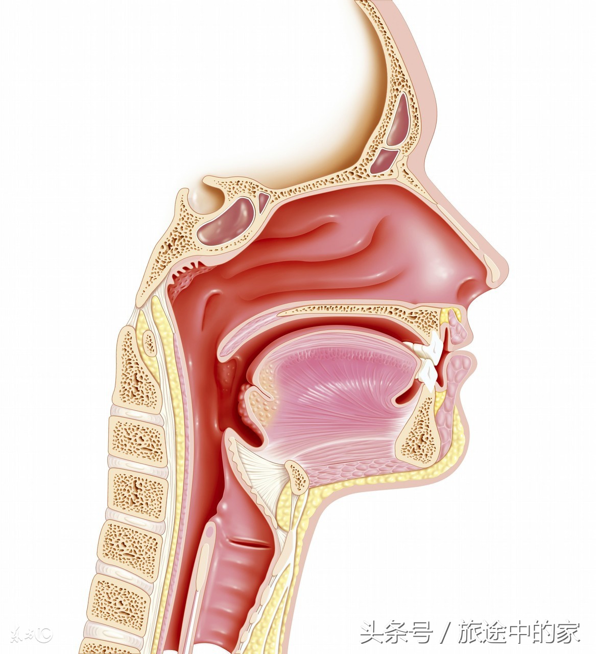 10种常见癌症早期症状知道能救命,这6种高发疾病要当心