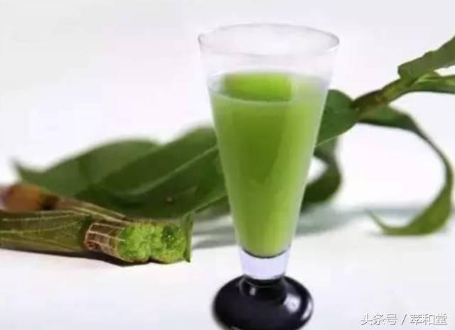 铁皮石斛鲜榨汁,铁皮石斛鲜榨汁有什么作用